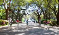 Savannah: Sweet and Spooky