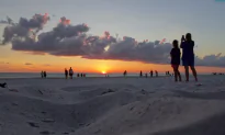 Adventures on Anna Maria Island