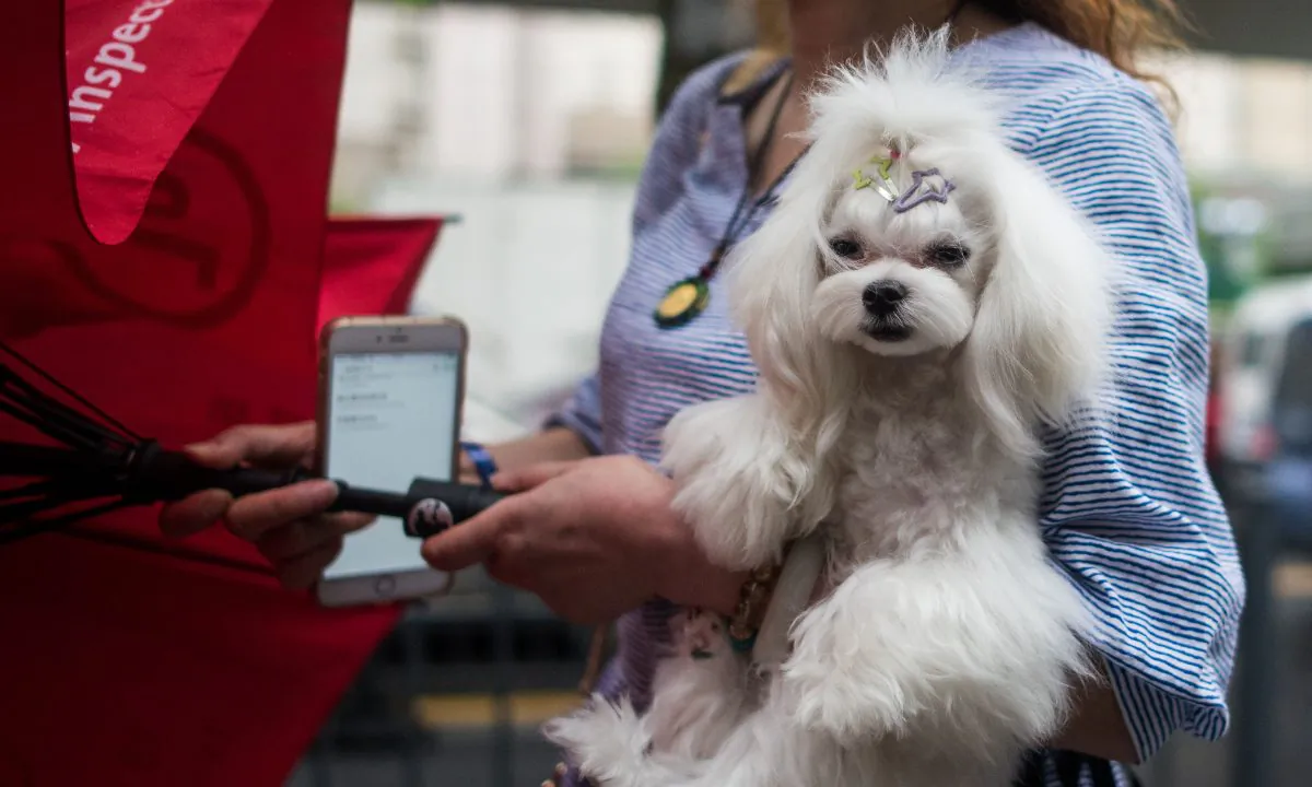 A woman carrying her dog in the wind and rain in Shanghai. (Johannes Eisele/AFP/Getty Images)