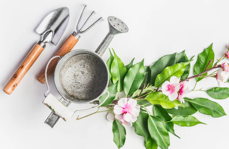 Every year, those of us brave souls who suffer the challenges of less-than-green thumbs are right back at it. (VICUSCHKA/Shutterstock)