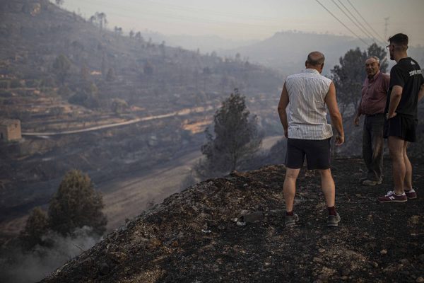 Around 10,000 acres of forest and other vegetation were affected by the fire in northeast Spain, on Jun 27, 2019.