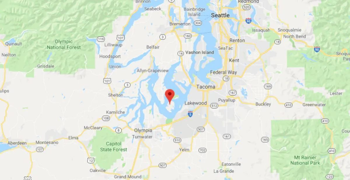 A group of boaters were frightened when young orcas came to check out their rowboat in the Puget Sound (Google Maps)