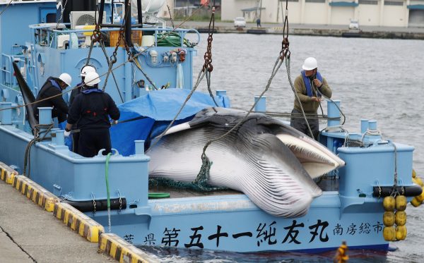 Epoch Times Photo