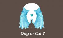 Cat or Dog? The First Pet You See Will Reveal Something About Your Personality