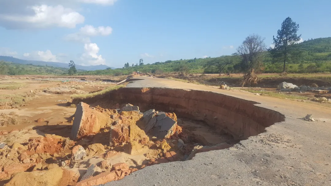 Chinese Illegal Logging Leaves Mozambique Vulnerable to Cyclones