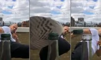 Actor Jason Statham Accepts Bottle Cap Challenge From Singer John Mayer