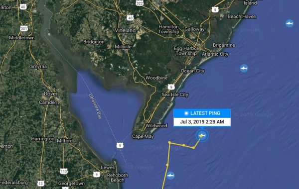ping map of great white shark