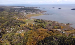 UNESCO Gives Canada New Deadline to Preserve Wood Buffalo National Park