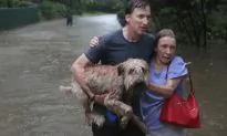 Video: Houston News Crew Rescues Dog Chained Up During Flood–Here’s How He Ended Up