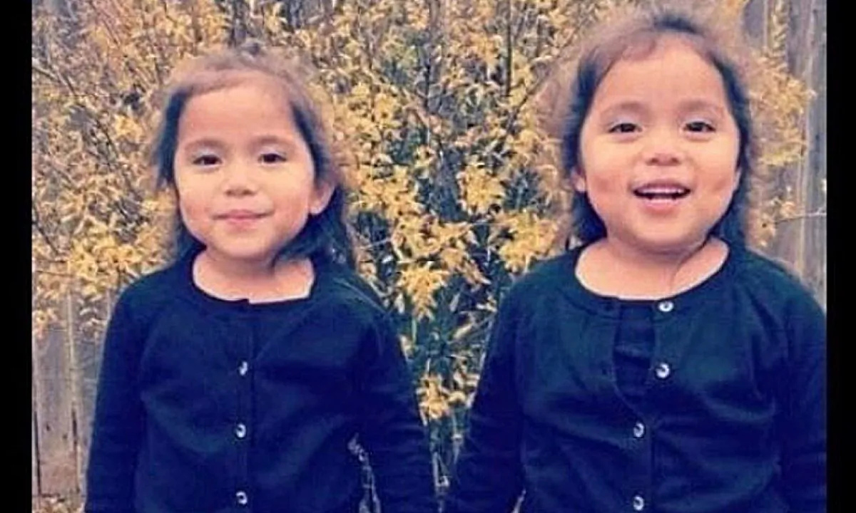 A picture of the twins killed in car crash in Odessa. (Brandy Douthit/GoFundMe)