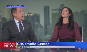 News Anchor Hides Under Desk During California Earthquake: Video