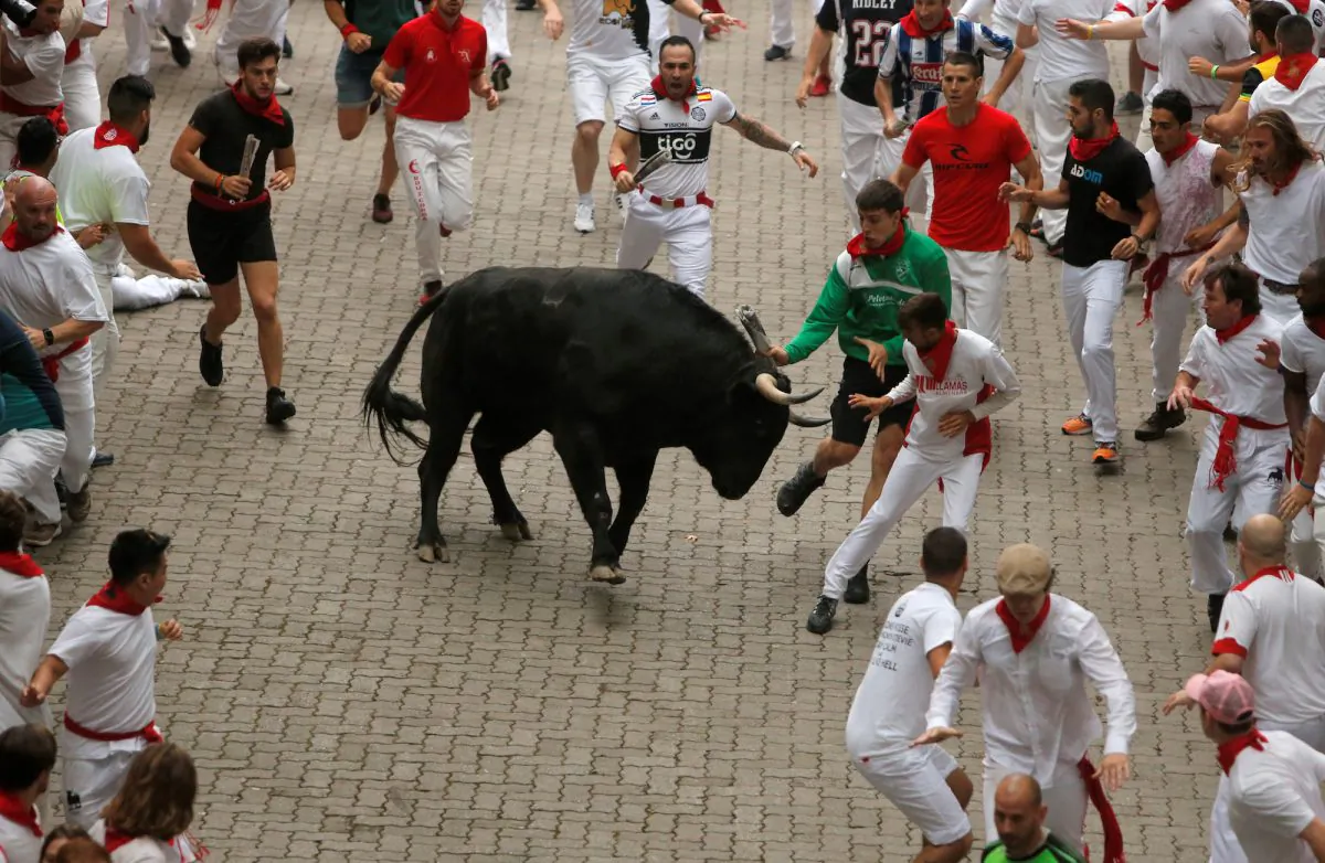 Revellers attempt to dodge a bull during the first running of the bulls at the San Fermin festival in Pamplona, Spain, July 7, 2019. (Jon Nazca/Reuters)