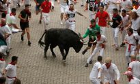Two Americans Gored While Running With Bulls at Spanish Festival