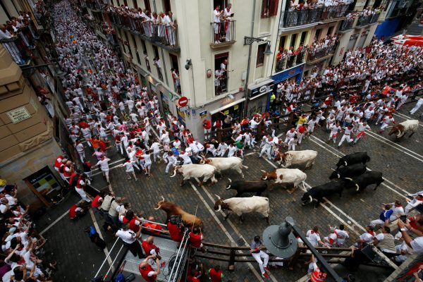 people running from bulls