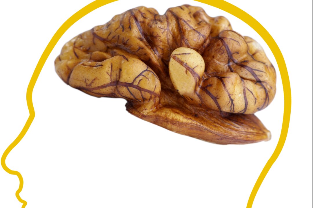 Is the walnut's cerebral shape a helpful hint from nature that it contains high amounts of the very fatty acids our brain requires? (Shutterstock)
