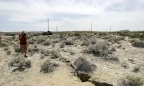 Quakes Alert Californians to be Ready for ‘Big One’