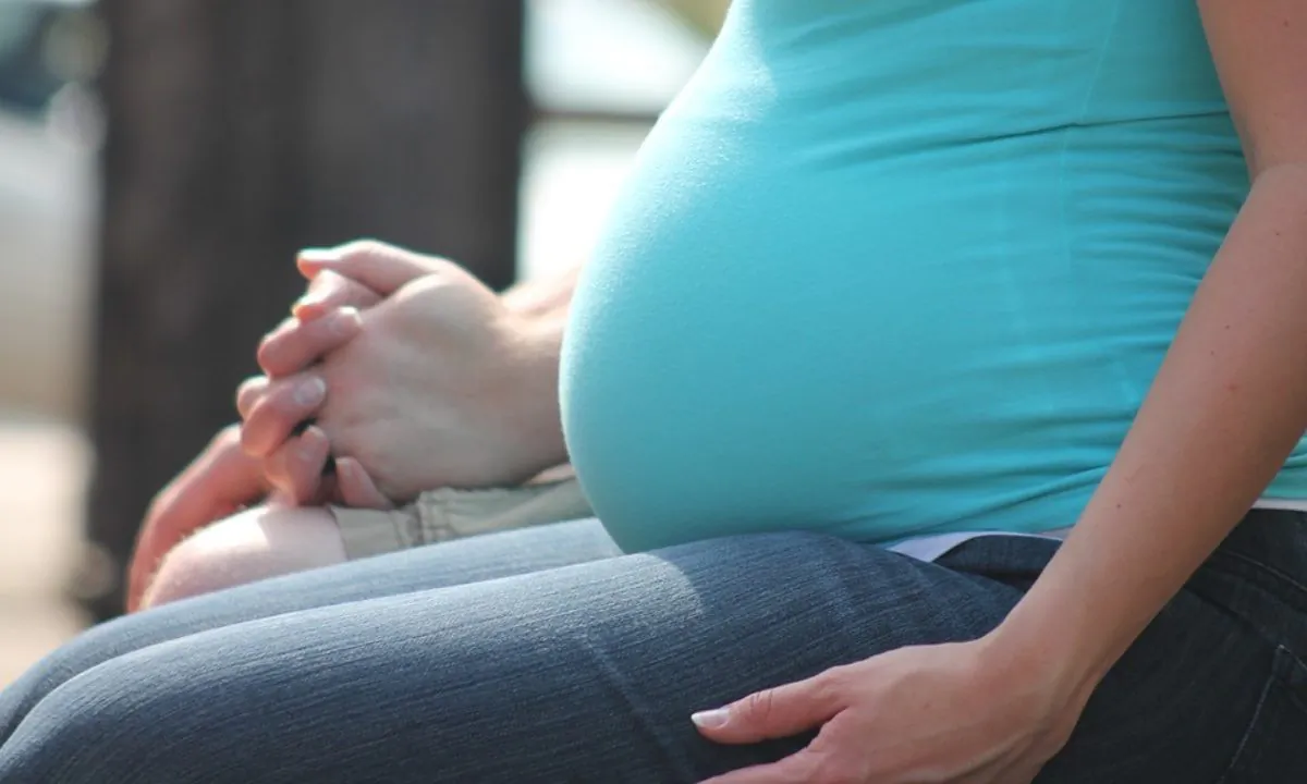 Stock image of a pregnant woman. (Greyerbaby/Pixabay)