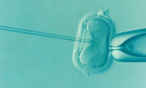 Researchers Create New Micro Device That Could Boost Infertility Treatments