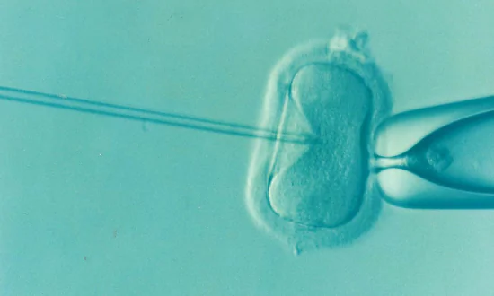 39 Percent IVF Success Rate in Australia, New Zealand