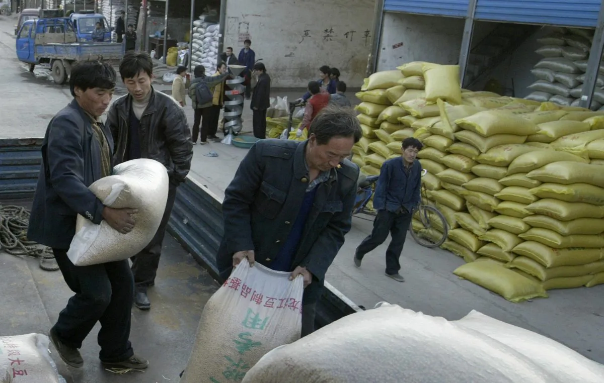Chinese workers load sacks of grain from a warehouse at a grain market in Kaifeng, Henan Province, China on Feb. 13, 2005. (Mark Ralston/AFP/Getty Images)