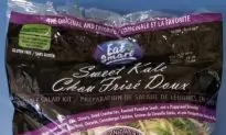 Eat Smart Kale Salad Bags Recalled Due to Possible Listeria Contamination