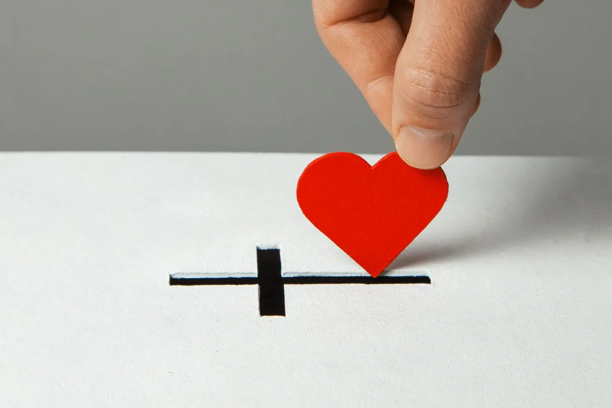  (ADragan/Shutterstock)