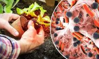 ‘It Felt Like My Finger Was on Fire’: Man Gardening Without Gloves Contracts Horrifying Flesh-Eating Bacteria