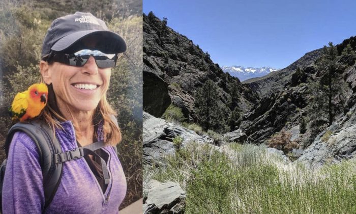 Sheryl Powell, 60, was said to have disappeared on Friday near the Grandview Campground in the Bristlecone Pine Forest in California. (Inyo County Sheriff's Office)