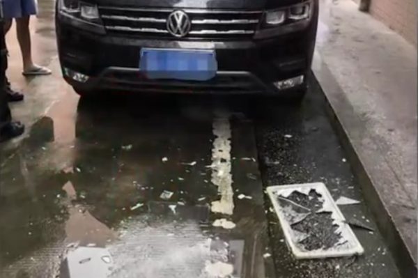 Dog fall window