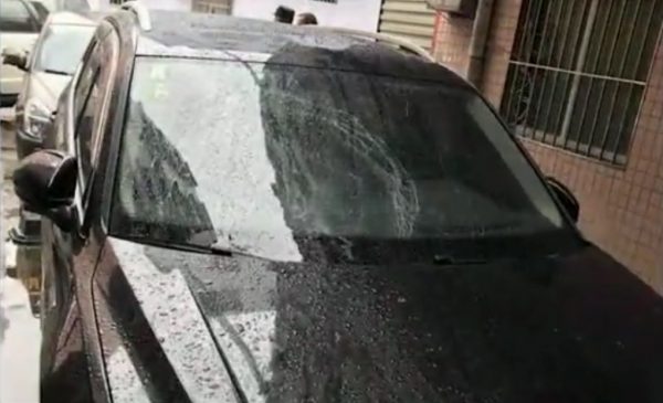 Dog fall window