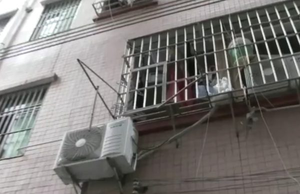 Dog fall window