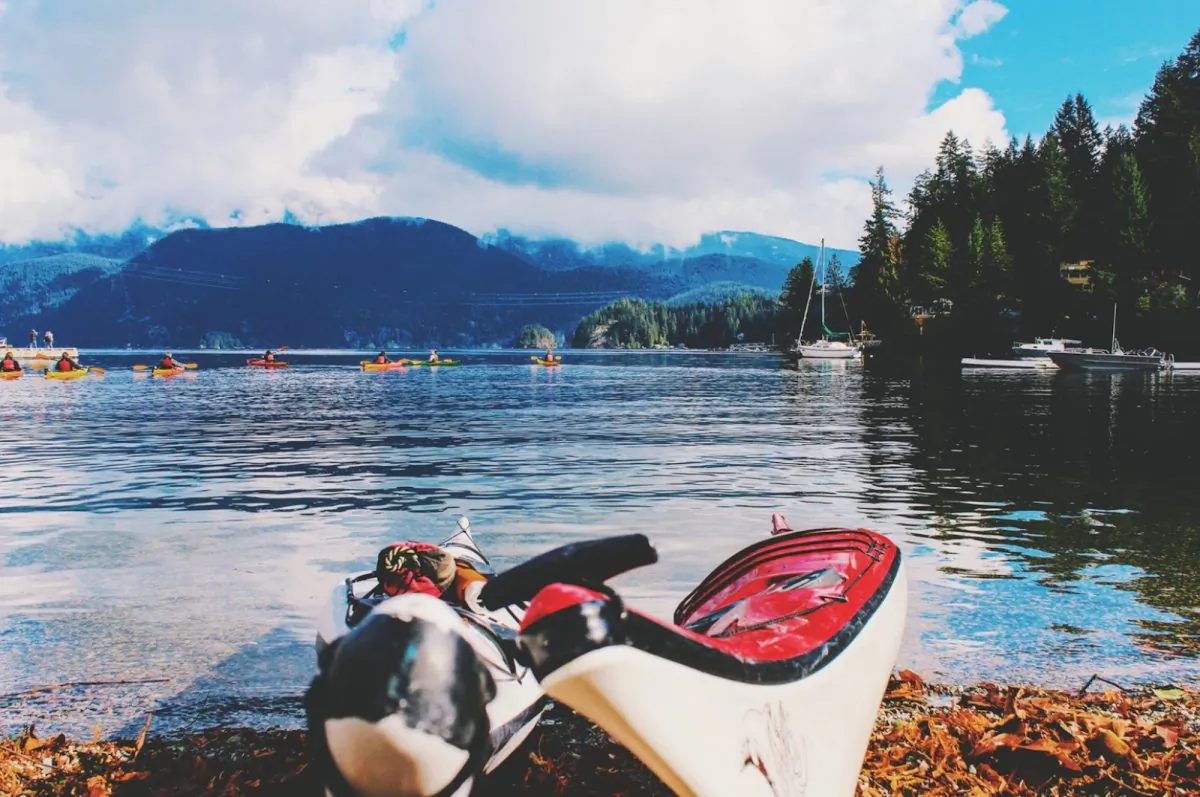 Stock photo of kayaks on a body of water. (Josh Trommel/Unsplash)