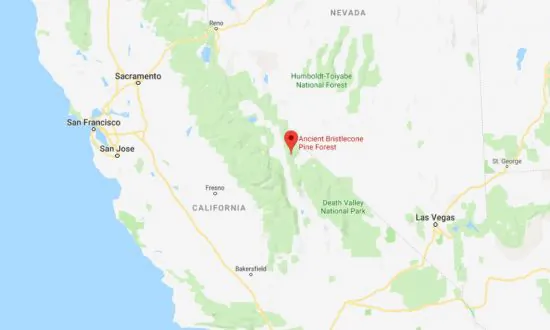 Missing Hiker Sheryl Powell Found Alive, Family Makes Disturbing Allegations