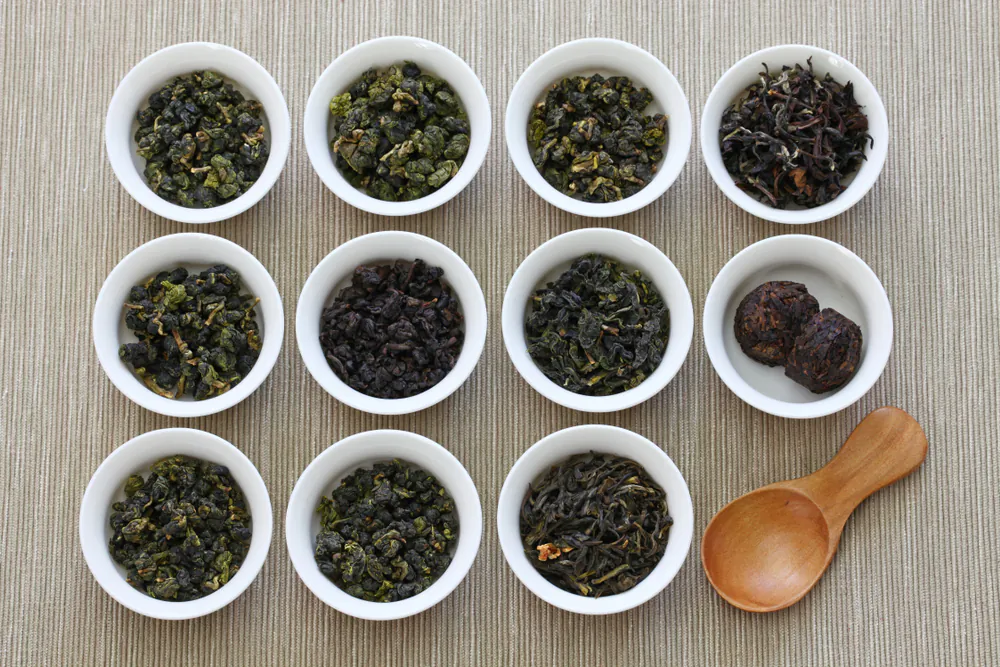 Oolong teas like these samples from Taiwan represent a middle ground in the processes that create black tea and green tea. All teas (not including herbal teas or tisanes) are made from  the camellia sinensis plant. (Shutterstock)