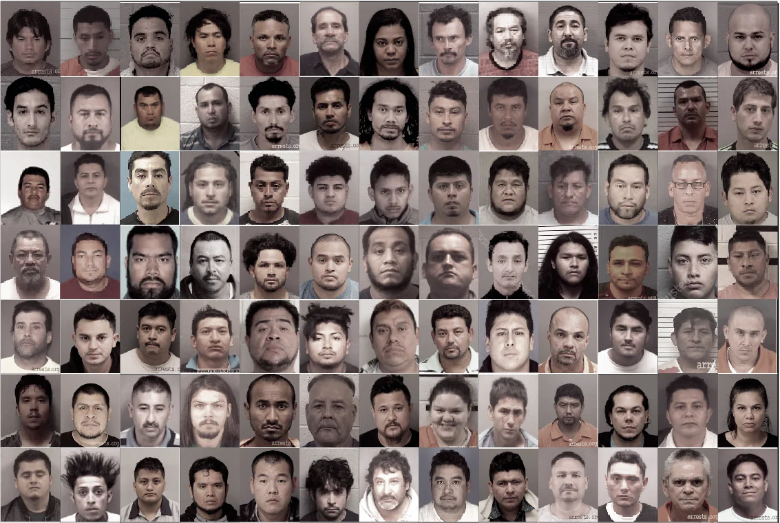 Mugshots of illegal aliens who were arrested on allegations of child sex crimes in North Carolina between October 2018 and June 2019. 