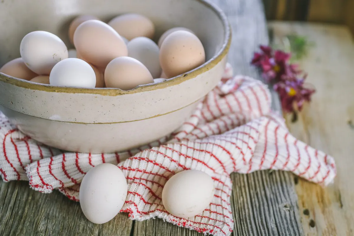A stock photo of eggs (Jill Winger)