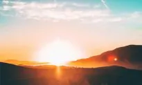 Arizona Authorities Investigate Spike in Heat Deaths Amid Broader Trend