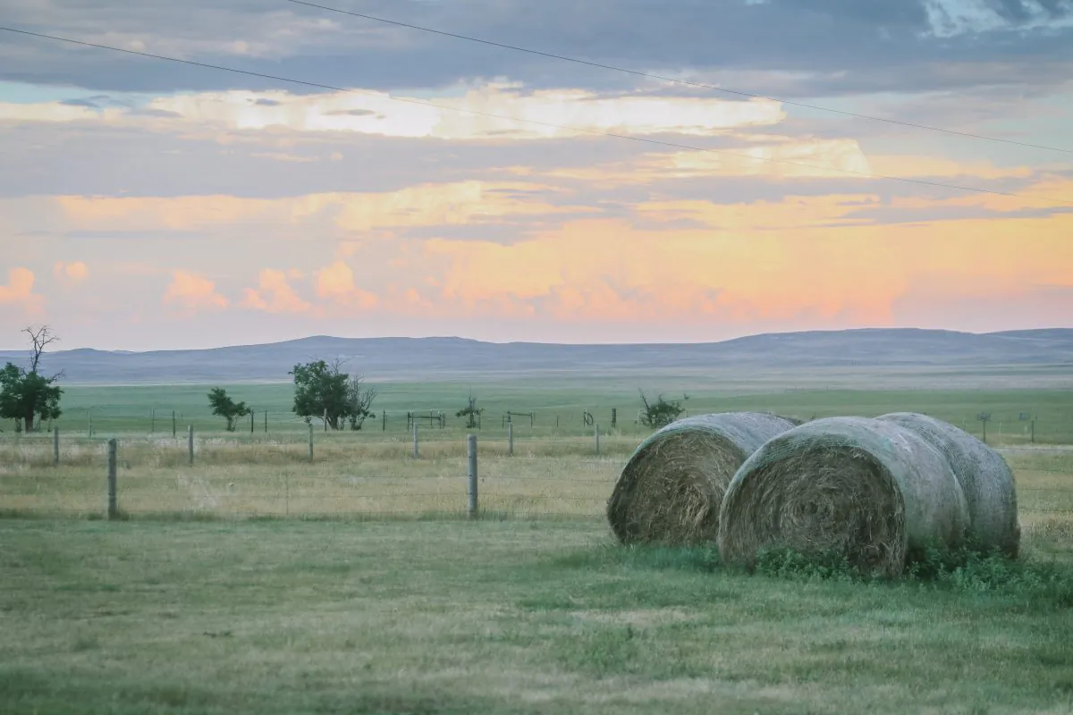 On the homestead. (Jill Winger)