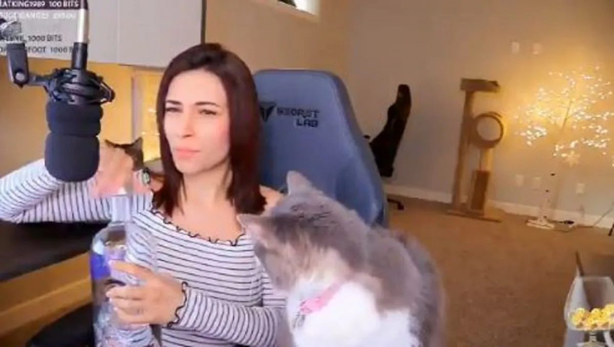 A gamer was seen throwing her cat and spitting vodka into the cat's mouth. (Screenshot/Twitch)