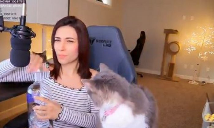 A gamer was seen throwing her cat and spitting vodka into the cat's mouth. (Screenshot/Twitch)