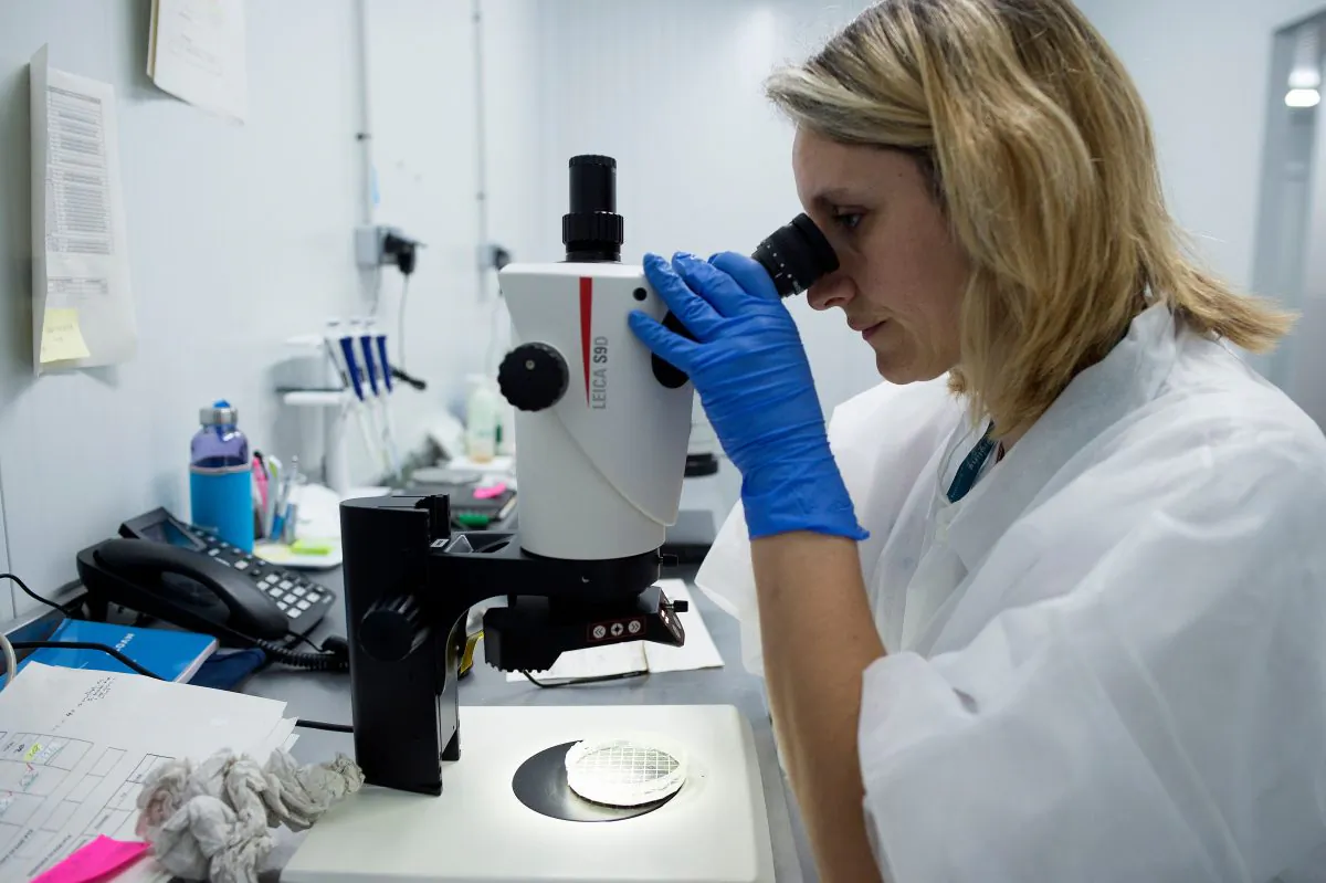 A worker uses a microscope at Bioline Agro sciences Company in El Ejido on July 1, 2019. (Jorge Guerrero/AFP/File Photo/Getty Images)