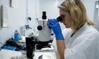 Blood-Sucking ‘Kissing Bug’ Which Has Potentially Deadly Bite Spotted Throughout US