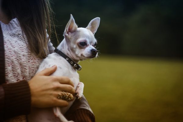 Epoch Times Photo
