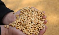 Chinese Companies May Buy New U.S. Farm Products, Chinese State Media Says
