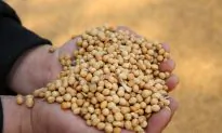 China’s Food Security and the Russo-Ukrainian War