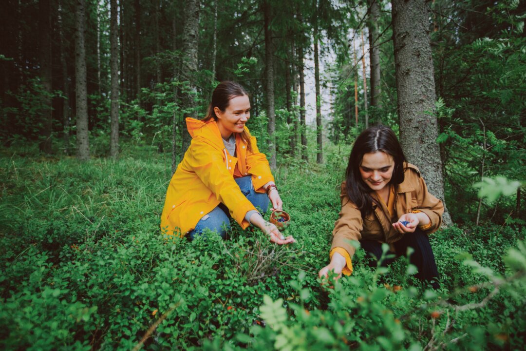 (Julia_Kivela/Visit Finland)