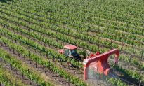 US Lags Behind Other Countries in Regulating Pesticide