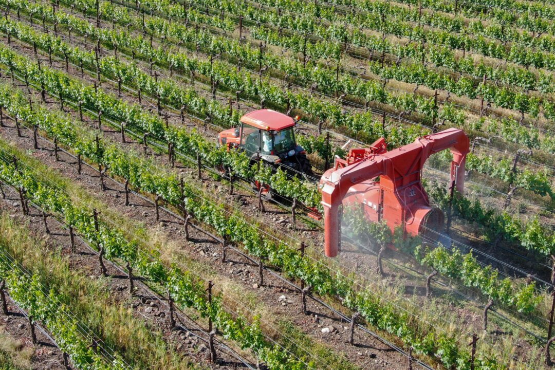 A tractor sprays pesticide in Napa Valley, Calif. (bonandbon/Shutterstock)