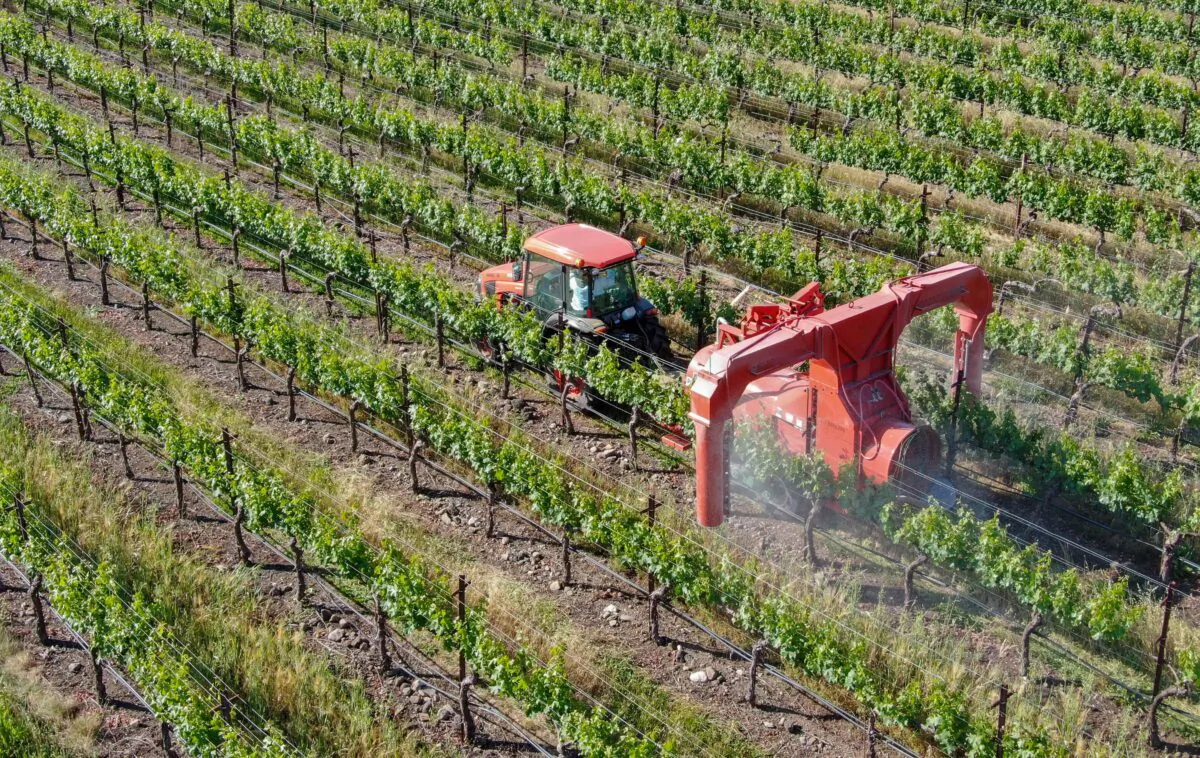 A farm tractor sprays pesticides and herbicides over a green vineyard field in Napa Valley, Calif., on April 18, 2019.(bonandbon/Shutterstock)