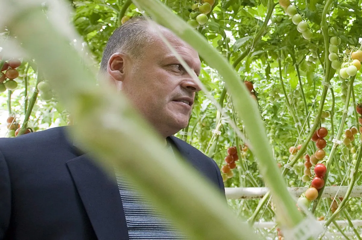 Biologico organic tomato greenhouse owner Stephane Roy is seen in Saint-Sophie, Que., on August 16, 2012. Roy and his teenage son have been missing for two weeks after failing to return from a fishing trip in northern Quebec. (Graham Hughes/The Canadian Press)